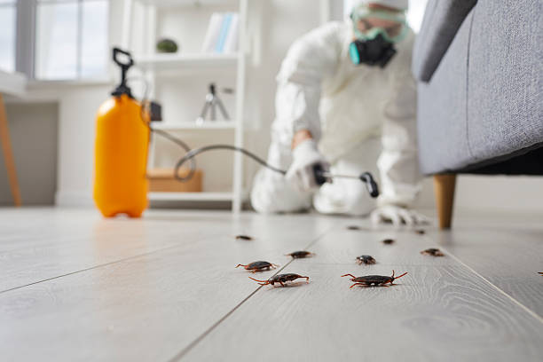 Commercial Kitchen Cockroach Control in Nocona